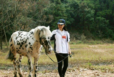 宗正骑士会骑马体验+教练授课费1次（1日行程）