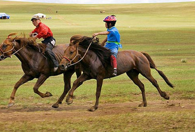 骑马和平马术俱乐部单人骑马体验（1日行程）