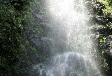 秦岭秘境 狐狸沟  探幽戏水纳凉 （1日行程）