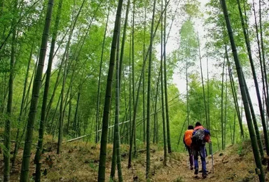 从化影古线徒步（1日行程）