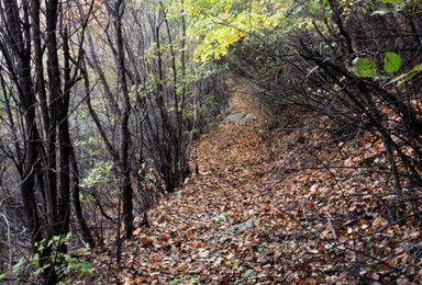 密云石虎线一日穿越 途经石虎村 鸟语林 木屋小路（1日行程）