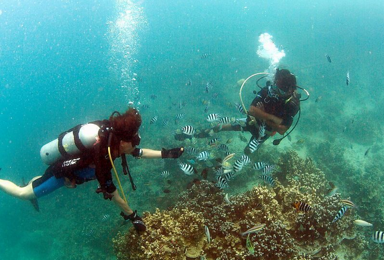 泰国普吉岛救援潜水员Rescue课程 潜水考证（2日行程）