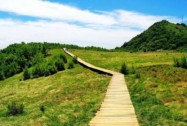 百花山 呼吸新鲜空气 摄影 登山（1日行程）