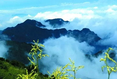 休闲行摄 徒步北京最美的山松山国家森林公园（1日行程）