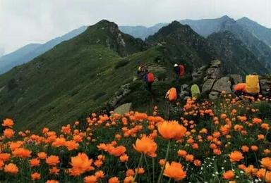 济南户外 7月15日-7月17日 河北小五台山 普通登山3日（3日行程）