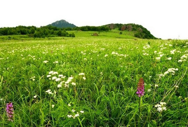 通幽百花山 呼吸新鲜空气 摄影 登山赏百花欢迎新人（1日行程）