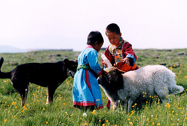 内蒙古草原亲子之旅 我们都想给宝贝最好的风景（7日行程）