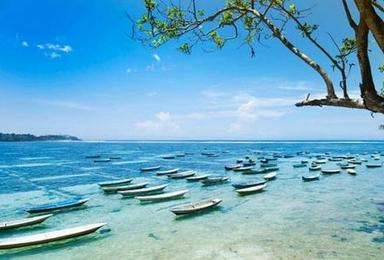 巴厘岛珊瑚礁船游及蓝梦岛一日游（1日行程）
