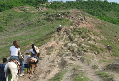 马尼拉塔尔火山骑马一日游（1日行程）