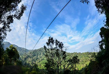 清迈丛林飞跃Skyline半日游（53平台）（1日行程）