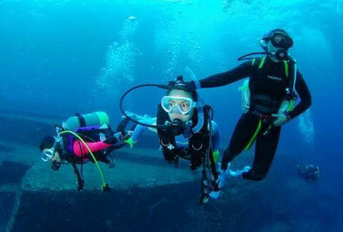 PG 海豚湾 PADI 水肺复习 开放水域潜水（2日行程）