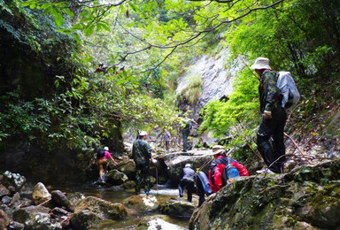 安吉井空里峡谷溯溪戏水 暂别炎热夏日（1日行程）