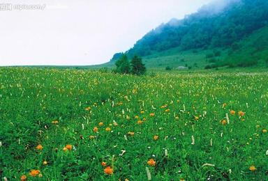 原野户外  7月2/3日 两期 曲径通幽百花山 踏青赏花 登山摄影（1日行程）