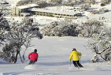 悉尼 科修斯科山 超值雪峰赏雪一日游（每周五晚出发中文团）（1日行程）