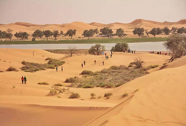中国第四大沙漠腾格里沙漠千年之叹 并肩行走 五湖连穿 有赠品（4日行程）