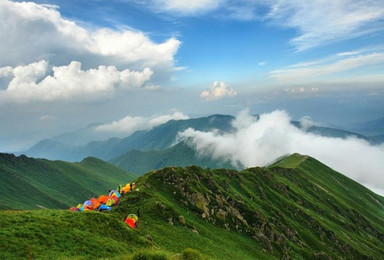 相约小五台赏漫山的金莲花 休闲 扎营 摄影（3日行程）