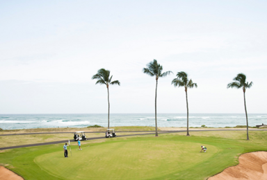 夏威夷欧胡岛乌龟湾高尔夫（Turtle Bay Palmer Golf Club）自驾（1日行程）