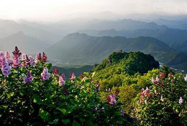 熊出没7月3日周日曲径通幽百花山，消夏避暑，百草甸赏花（1日行程）