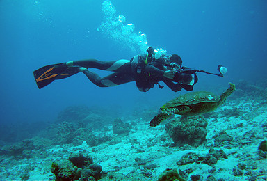 金章潜水员  (Master Scuba Diver)培训课程（2日行程）