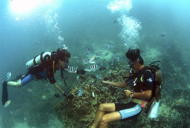 救援潜水员  ( Scuba Rescue Diver )培训课程（3日行程）