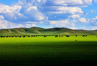 内蒙古乌兰布统大草原 玉龙沙湖  沙漠 喇嘛山（5日行程）