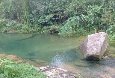 小黄杨泡水（1日行程）