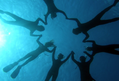 冲绳 青洞 体验潜水（1日行程）