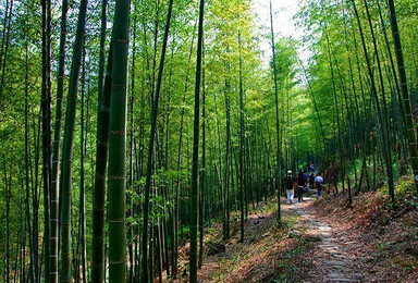 徒步醉美古溪线 赏最美竹林尝美食感受自然生活（1日行程）