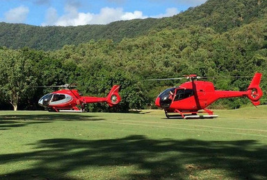 凯恩斯皇家直升机（60分钟大堡礁雨林观光）（1日行程）