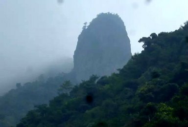 这个夏天就去河源太山溯溪（1日行程）