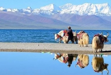 10月1日-7日 西藏小环线 邂逅圣洁雪莲花（7日行程）