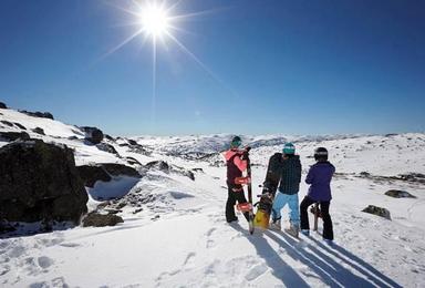 澳洲ThredboPerisher雪山四天三晚刺激滑雪之旅（1日行程）