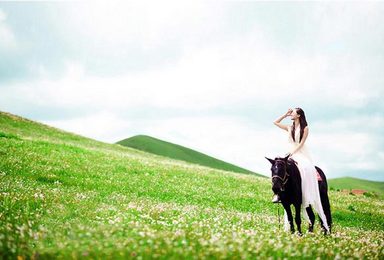 [海拉尔出发]★骑马穿越草原探访《寻龙诀》拍摄地纯玩无购物5日经典环线