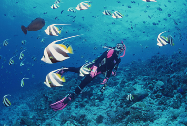 南澳珊瑚潜水 带您走入神秘的海底世界快艇出海烧烤BBQ（1日行程）