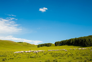 乐行部落 7月16~17日 芈月传拍摄地：乌兰布统草原，送烤羊腿！（3日行程）