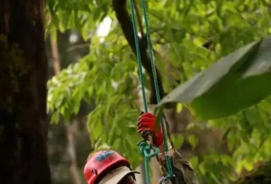 行者培训 攀树教练 全国攀树绳索技术培训班 合肥站（1日行程）