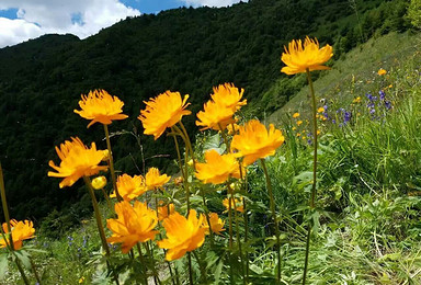 小五台重装穿越 看那金莲花烂漫山野,错过等一年（5日行程）