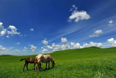 7月15-17日 【乌兰布统-木兰围场-公主湖摄影专线】一起度过欢乐周末，星级标准（3日行程）