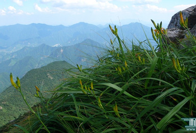 银龙坞---清凉峰露营  周末游（2日行程）