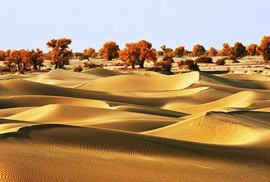 南疆塔克拉玛干沙漠民俗风光 帕米尔高原探秘深度行（12日行程）