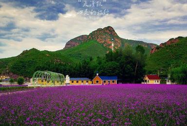 郊区美景之密云人间花海 沙滩浴场狂欢山谷里的美景（1日行程）