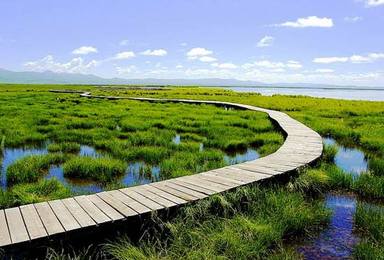 若尔盖花湖湿地 九曲黄河红原大草原月亮湾（3日行程）