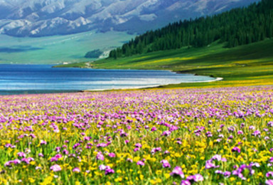 新天山环线 深入天山草原腹地 尽览蓝色星球上最美丽的立体草原（8日行程）
