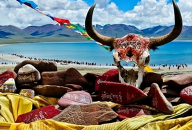 暑期西藏 西藏初夏花开避暑 前后藏全景体验游（9日行程）