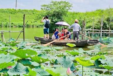 古劳水乡 古劳水乡游船赏荷 夏日溪谷水枪大作战（1日行程）