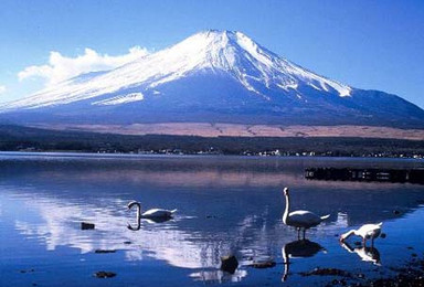 东京富士山登顶之旅（5日行程）