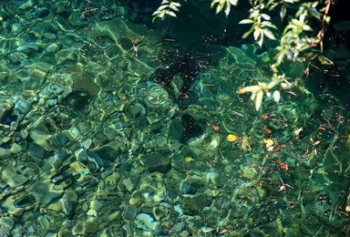 激情夏日 徒步蝴蝶谷溯溪（1日行程）