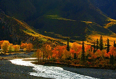 南北疆大环线 顶级秋色线路 赛里木湖景区环湖（12日行程）
