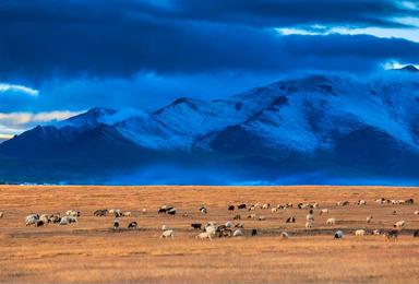川藏加青藏 追寻中国最美的景观大道（18日行程）