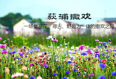 荻浦撒欢 古村寻味 漫步狄浦花海 桐洲岛抓螃蟹挖野菜（1日行程）